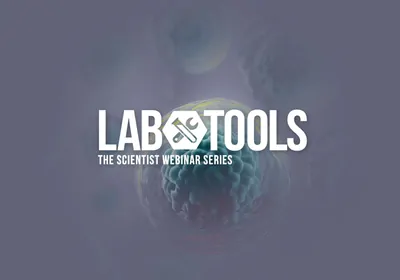 Understanding How Single Cell Evolution Drives Tumor Complexity